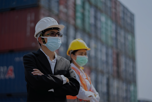 Logistics & Supply Chain Specialist