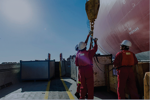 Shipping Documentation Officer